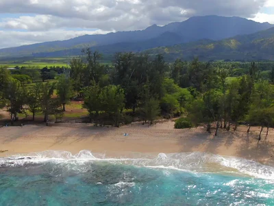 Witness of a Free Life